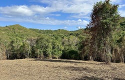 49 Mahogany Rd, Frederiksted, St Croix 00840, USVI, St. Croix, St. Croix 00840