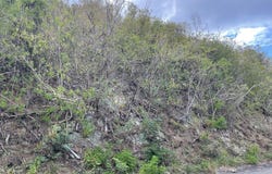 212 La Vallee NB, 212, St. Croix 00850, La Vallee, St. Croix, La Vallee, St. Croix
