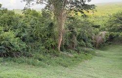 40 River PR, 40, St. Croix 00850, River Estate, St. Croix, River Estate, St. Croix