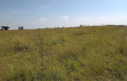 Dunnottar, Gauteng 1490
