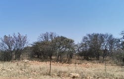 Bendor, Limpopo 699