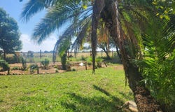 Bela Bela, Limpopo 480