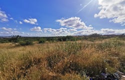 Bendor, Limpopo 699