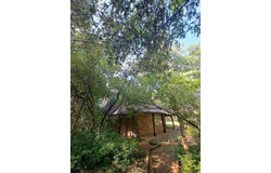 Phalaborwa, Limpopo 1390