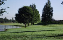 Mckay AH, Gauteng 1939