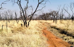 Mokopane Rural, Limpopo 600