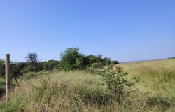 Lindleyspoort, North West 348