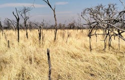 Mokopane Rural, Limpopo 600