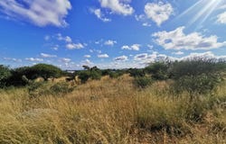 Bendor, Limpopo 699