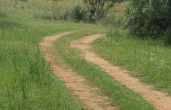 Modderfontein AH, North West 300