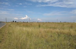 Dunnottar, Gauteng 1490