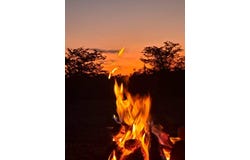 Phalaborwa, Limpopo 1390