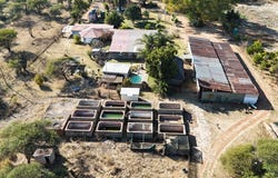 Bela Bela, Limpopo 480