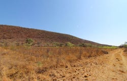 Modimolle, Limpopo 510