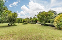 Ruimsig, Gauteng 1725