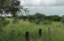 Bendor, Limpopo 699