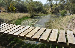 Bela Bela, Limpopo 480