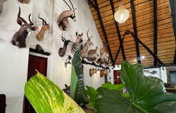 Alldays, Limpopo 909