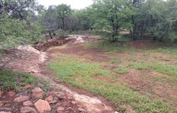 Musina, Limpopo 900