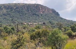 Modimolle, Limpopo 510