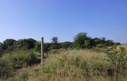 Lindleyspoort, North West 348
