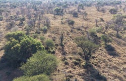 Bela Bela, Limpopo 480