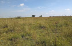 Dunnottar, Gauteng 1490