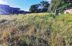Bendor, Limpopo 699