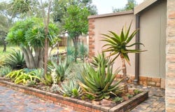 Koro Creek Golf Estate, Limpopo 510