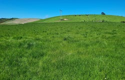 Smiths Track, Balclutha, Otago