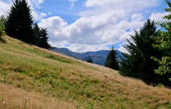 Dalefield Road, Dalefield, Otago
