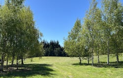 Fitzpatrick Road, Dalefield, Otago