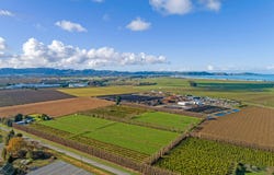 Willows Road, Matawhero, Gisborne