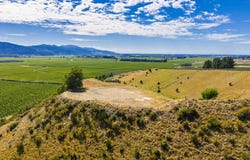 State Highway 63, Renwick, Marlborough