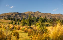 Station Rise, Dalefield, Otago