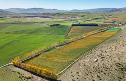 Loop Road, Cromwell, Otago