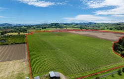 Whitmore Road, Ormond, Gisborne