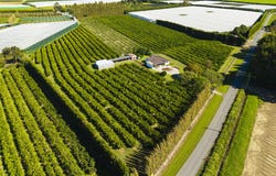 Brown Road, Ormond, Gisborne
