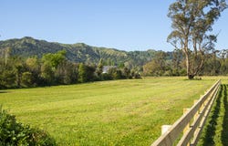 Back Ormond Road, Makauri, Gisborne