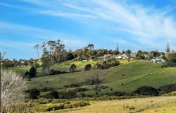 Paretao Street, Massey, Auckland