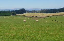 Hillend Road, Balclutha, Otago