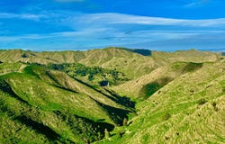 Manui Road, Mangaweka, Manawatu / Whanganui