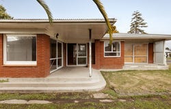 Kiwi Street, Whakatane, Bay Of Plenty