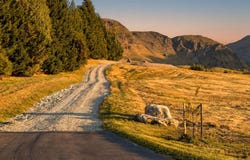 Fitzpatrick Road, Dalefield, Otago