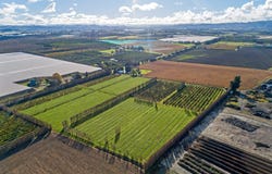 Willows Road, Matawhero, Gisborne