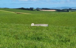Smiths Track, Balclutha, Otago