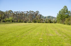 Back Ormond Road, Makauri, Gisborne