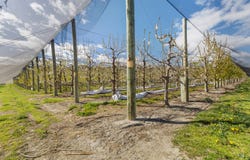 Smiths Way, Cromwell, Otago