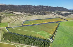 Loop Road, Cromwell, Otago