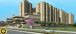 Sector 37D, Gurgaon, Haryana Sector 37D, Gurgaon, Haryana